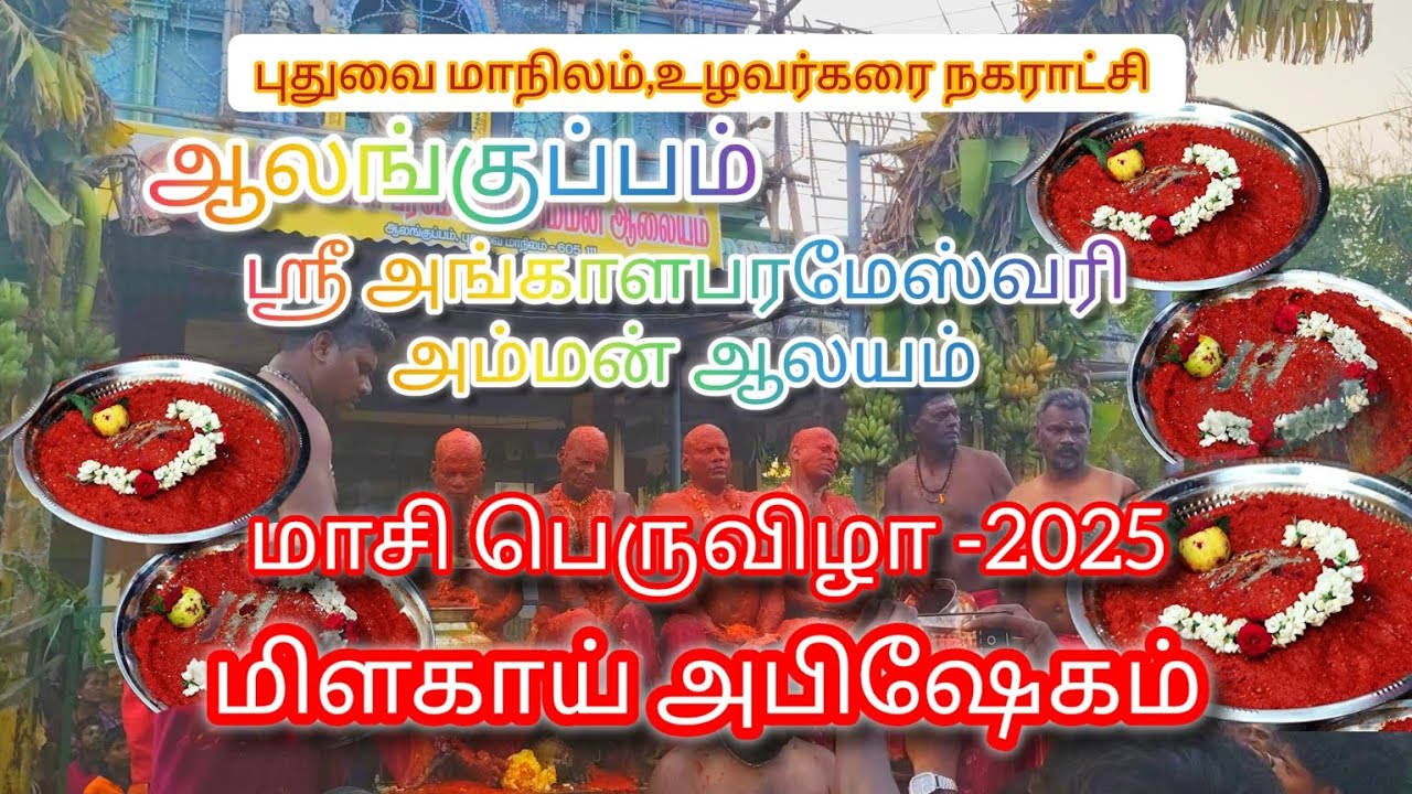Sri Angalamman temple #maasifestival /மிளகாய் அபிஷேகம் 🔱/#mayanakollai #ammanthiruvizha #Alankuppam