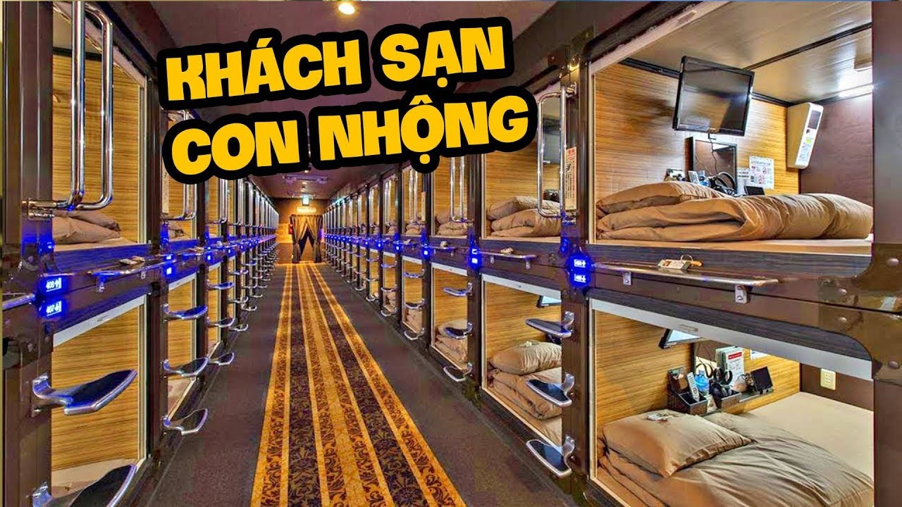 1 ĐÊM THỬ NGỦ TRONG KHÁCH SẠN CON NHỘNG Ở NHẬT BẢN (Oops Banana)