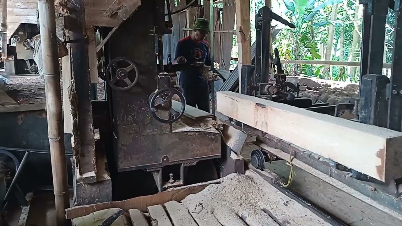 Gergaji kayu kelapa (glugu) untuk dijadikan bahan papan....!!!! 