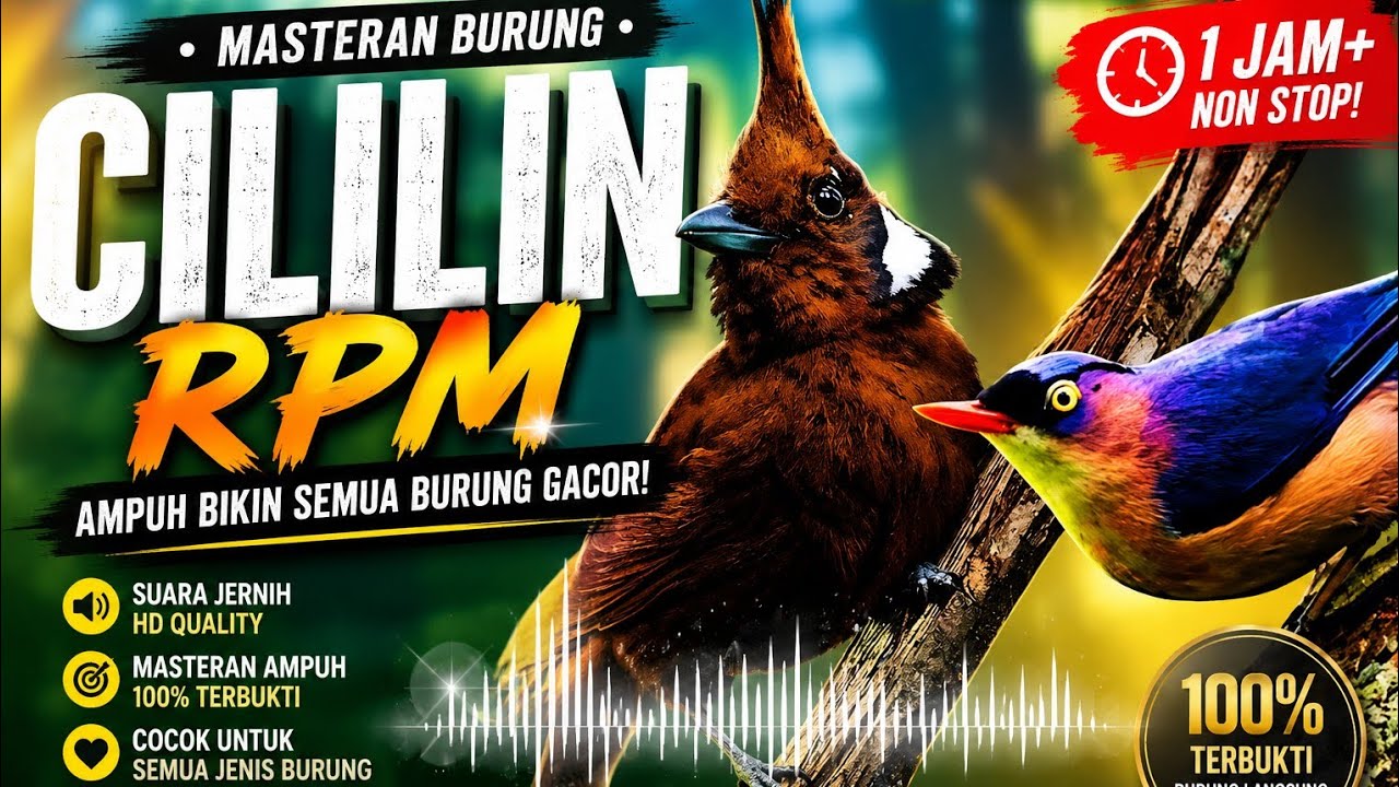 MASTERAN CILILIN | RPM GACOR | TERAPI AIR MENGALIR 