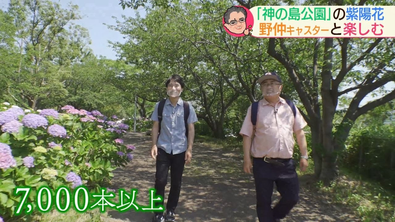還暦記者どこへ ？野仲予報士とアジサイ巡り【NCCスーパーJチャンネル長崎】