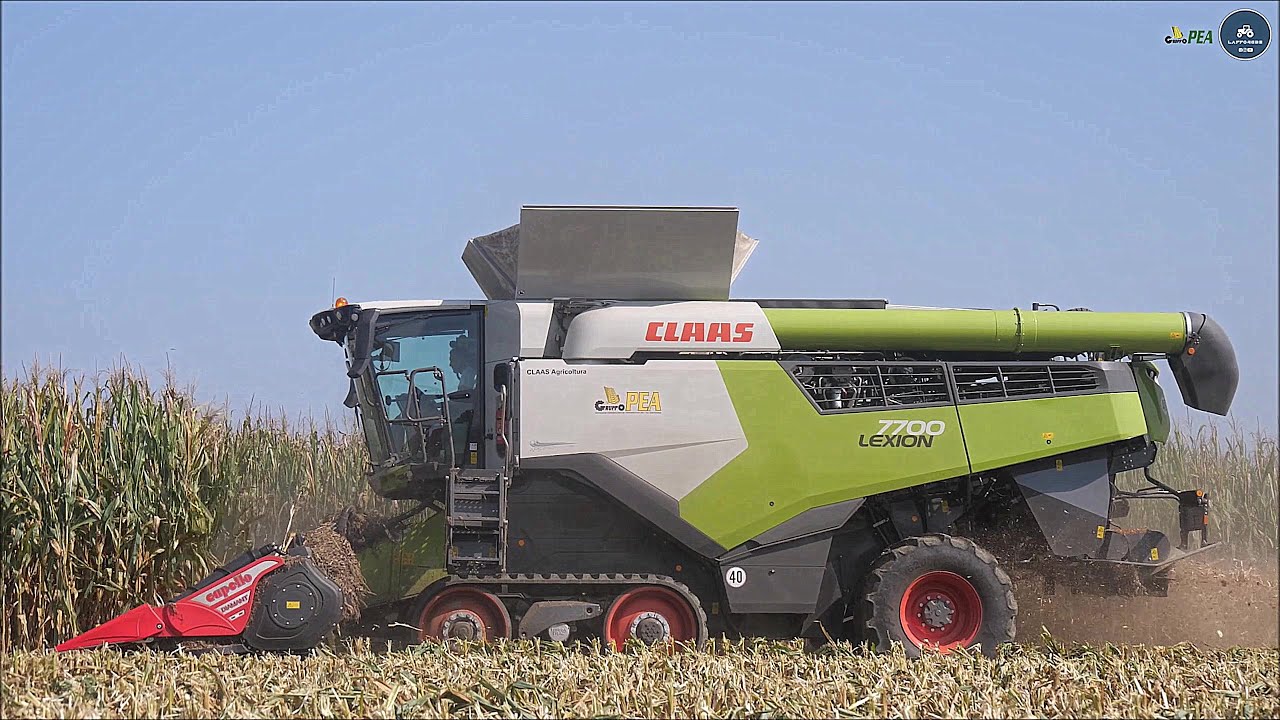 Claas Lexion 7700 TT + New Capello Diamant HS10 - Gruppo PEA - Corn harvest 2024