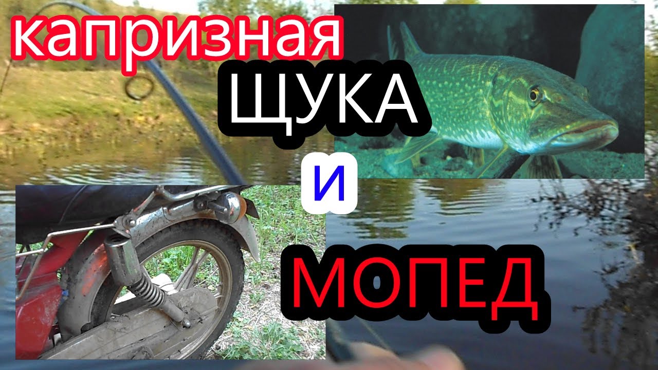 Щука и мопед. СПИННИНГ.