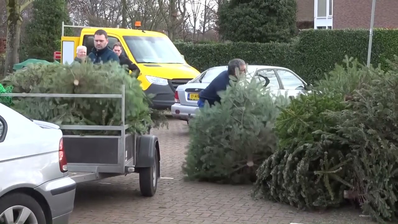 Kerstbomen inleveren