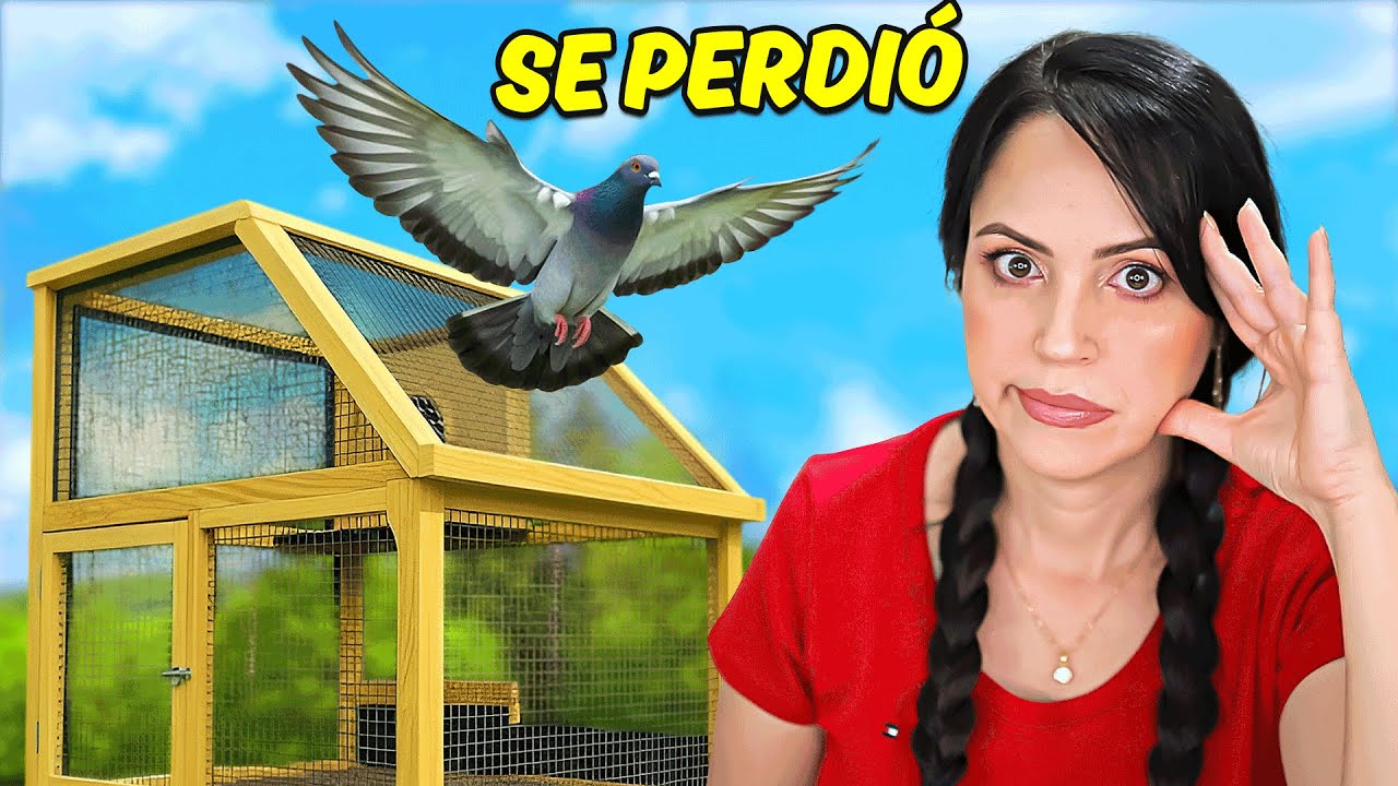 El Pichón Paloma Se Perdió Otra Vez y No Ha Regresado 😥 Sandra Cires Vlog