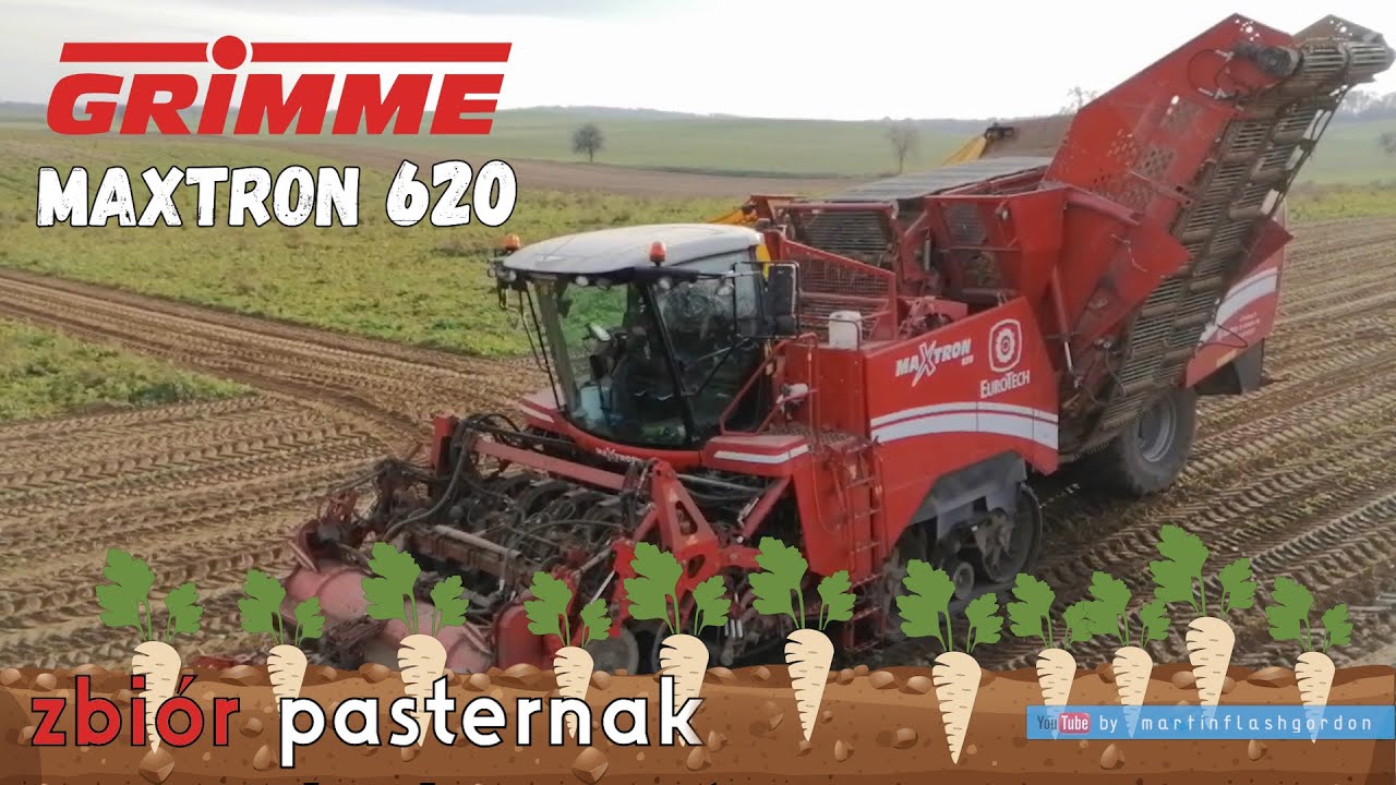 Grimme Maxtron 620 zbiór pasternaku | parsnip harvest