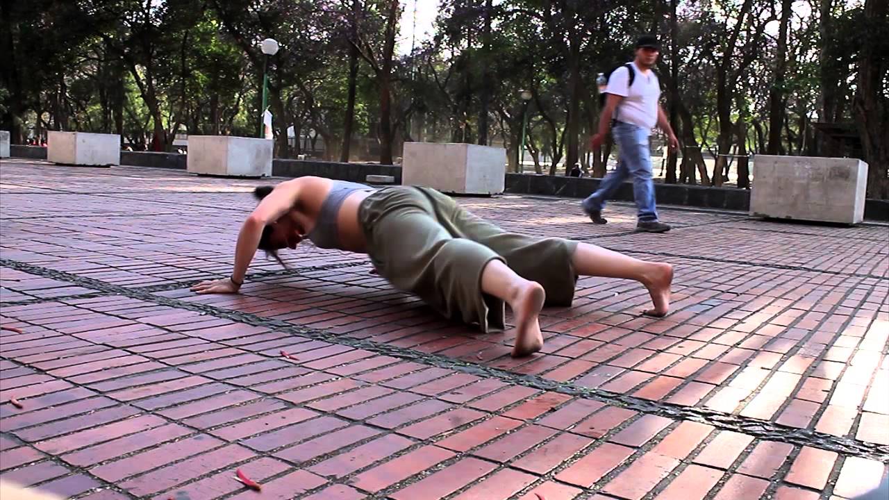 Tarde de cuadrúpedos