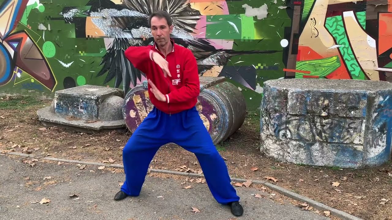 Fondamentali per allenamento xinjia by Fabio Smolari