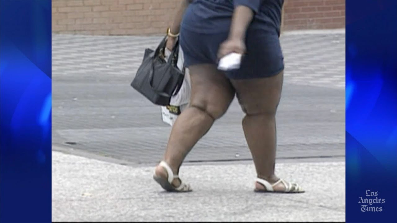 Gut bacteria may help fight obesity