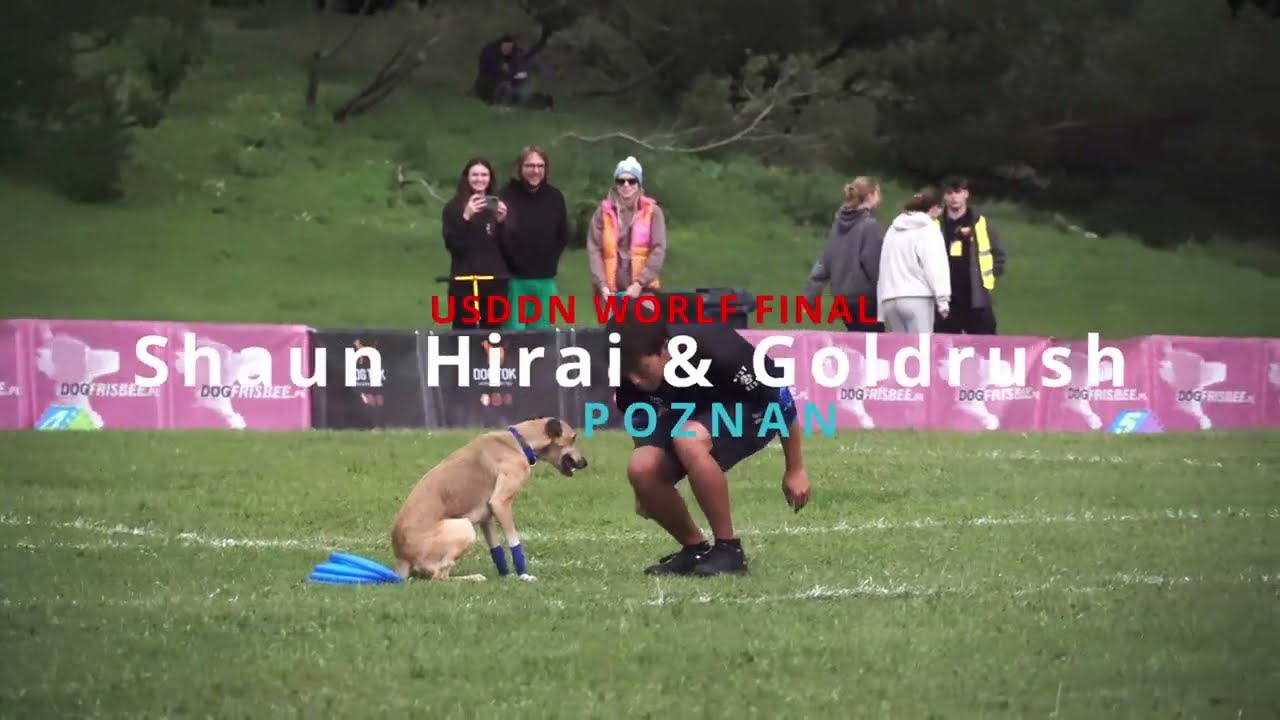 USDDN World Final 2022 Poznan -  Shaun Hirai & Goldrush WORLD CHAMPION
