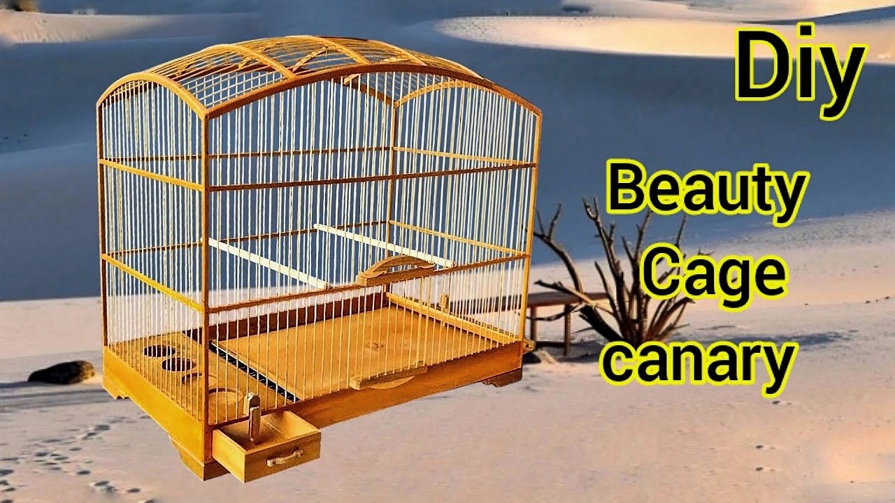 Make a beautiful canary bird cage