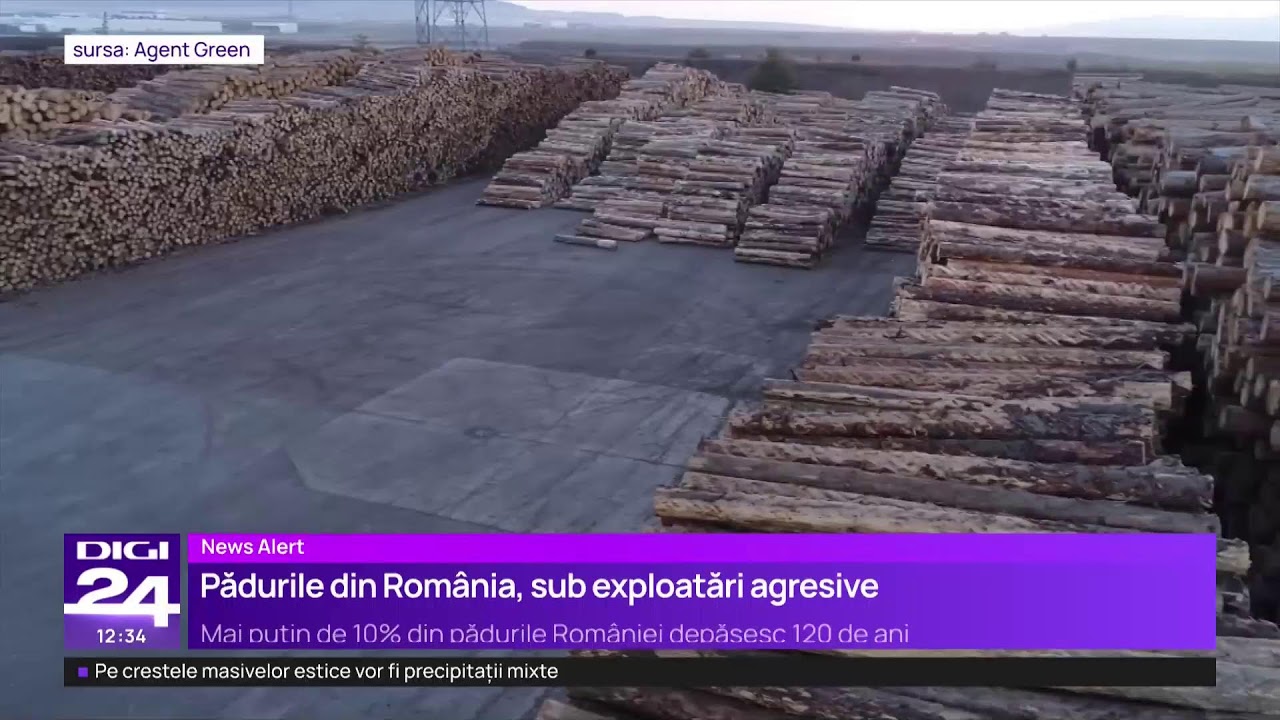 🟣 Știrile Digi24 de la ora 12 &ndash; 12 decembrie 2025