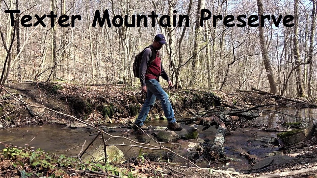 Spring Wildflowers & Don't be a Jerk ~ Texter Mountain Nature Preserve
