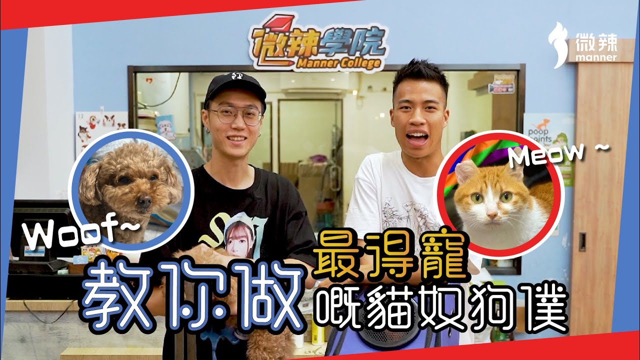【微辣學院】教你毛孩梳洗剪毛小技巧，用愛寵最鍾意嘅方式嚟互動！學完之後最得寵嘅貓奴狗僕仲唔係你？｜微辣Manner