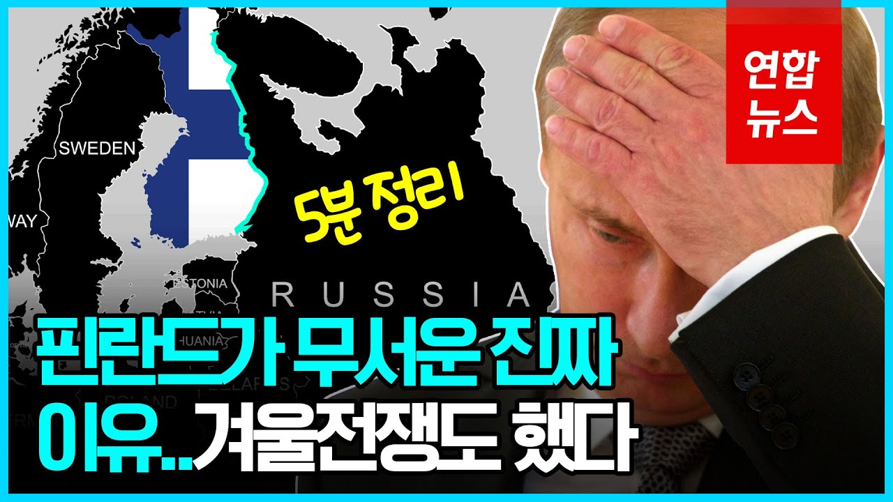 핀란드 나토 가입에 한 방 맞은 푸틴…다음은 아일랜드? / 연합뉴스 (Yonhapnews)