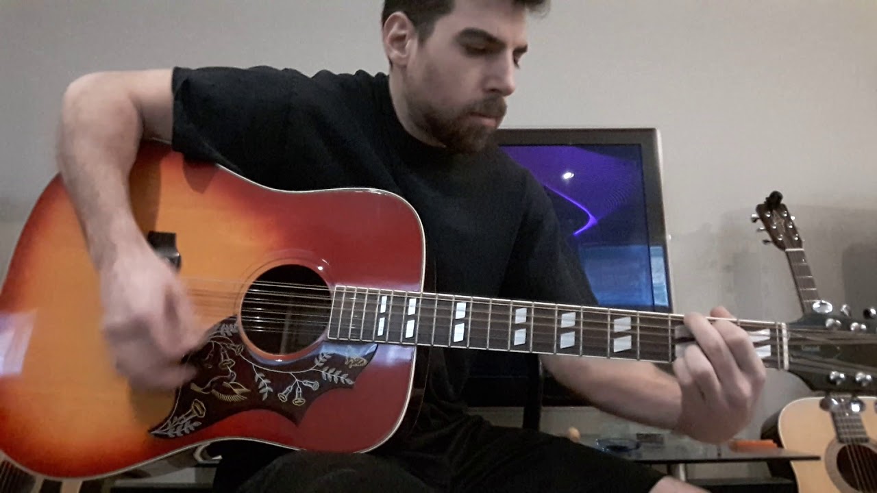 IBANEZ Concord 684-12 Demo Japanese Hummingbird Lawsuit copy