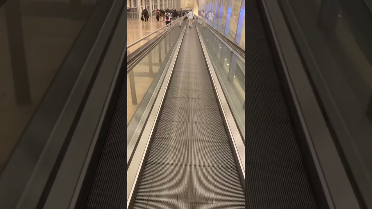 Llegada al aeropuerto de Israel Ben Gurión