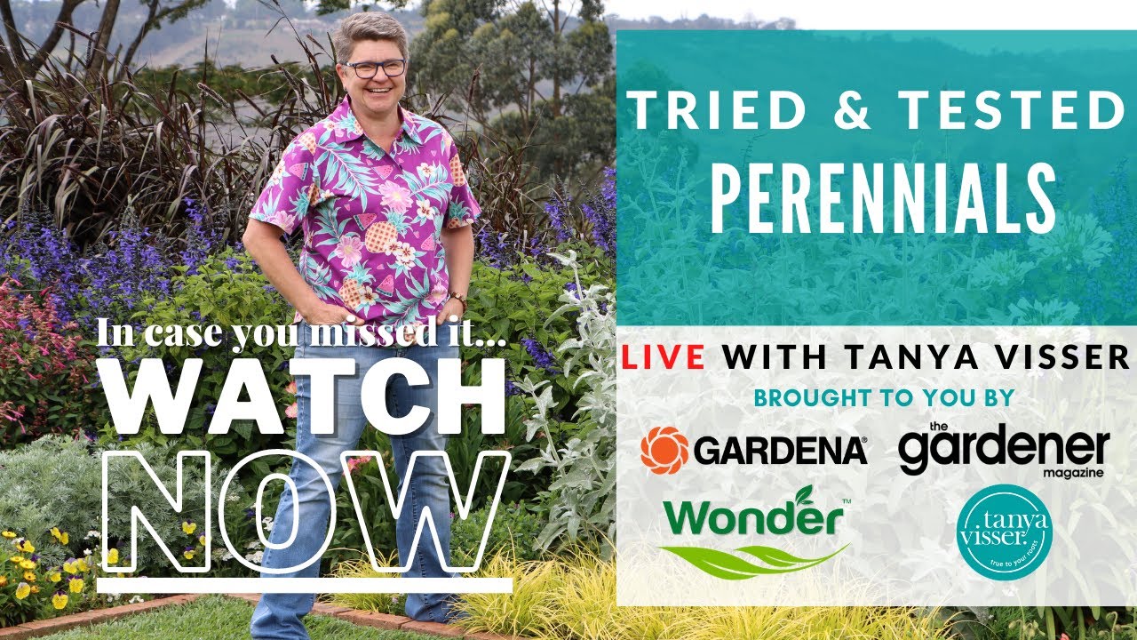 Tried and Tested Perennials Masterclass with Tanya Visser