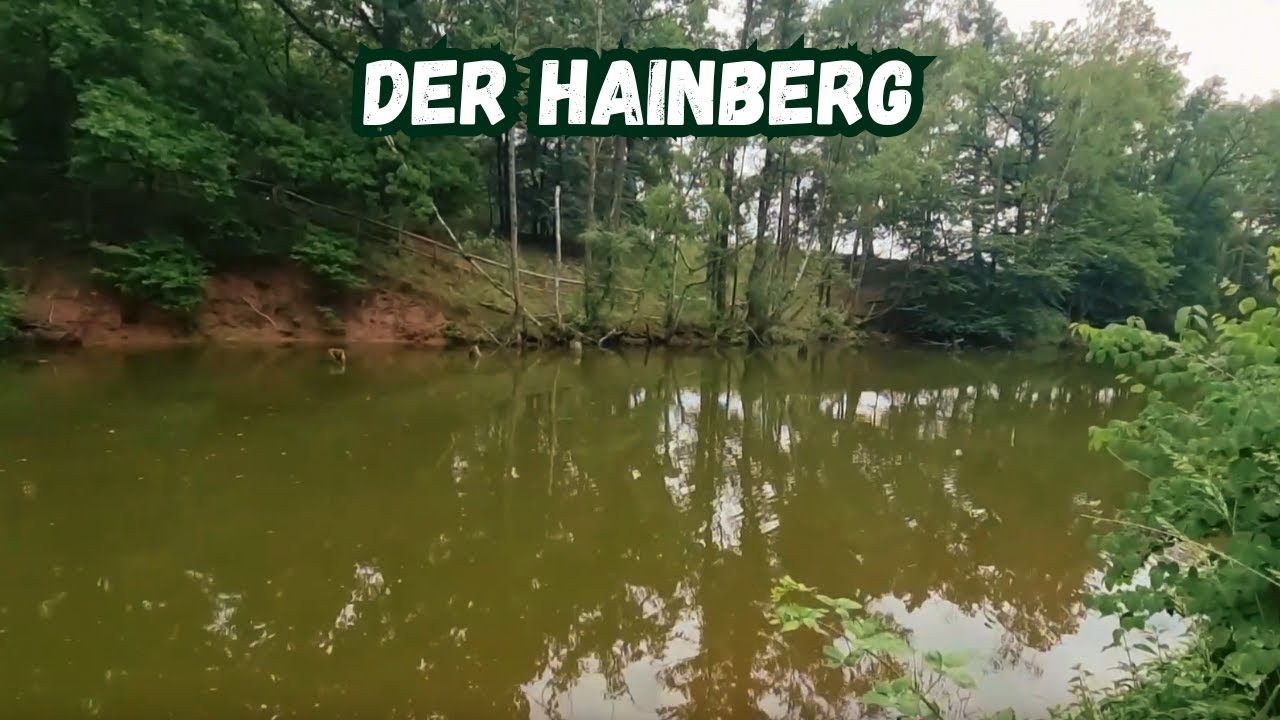 Der Hainberg - Weiher ( Naturschutzgebiet) Teil 5 ℹ️nfo Video