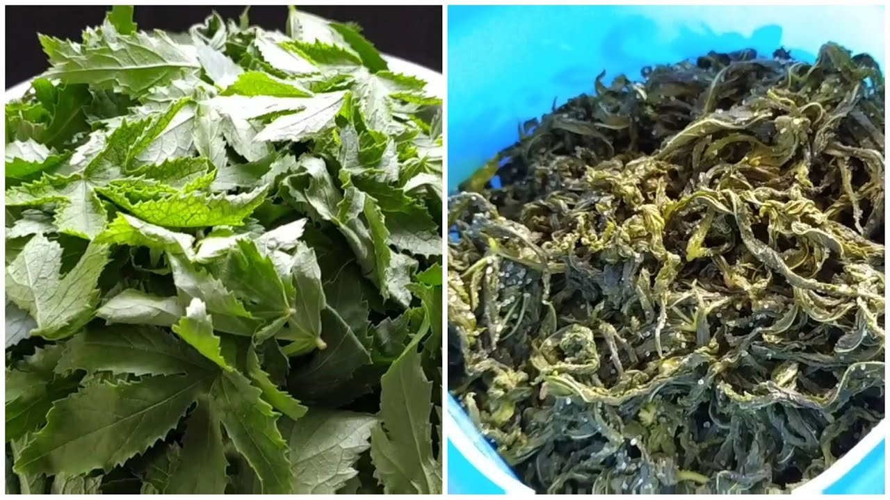 How to store Gongura for long time || store Gongura leaves for one year