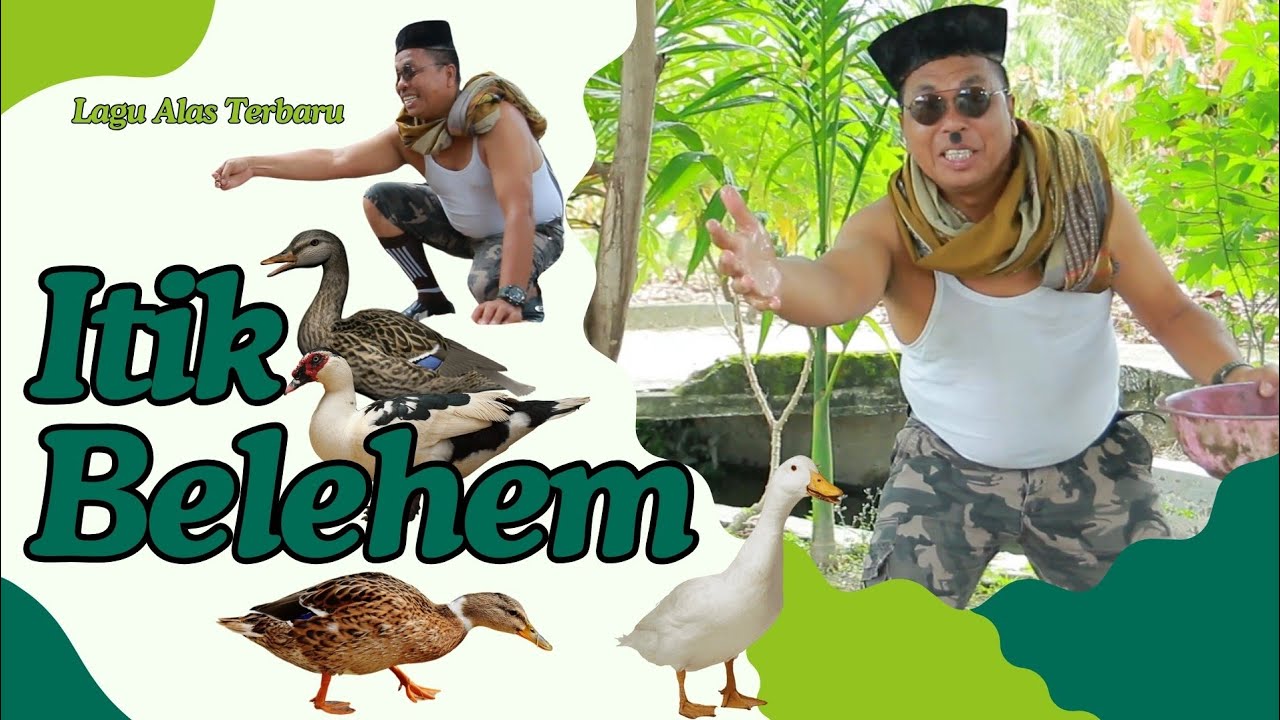 Lagu Alas Terbaru 2024 - Itik Belehem - Music Video Official