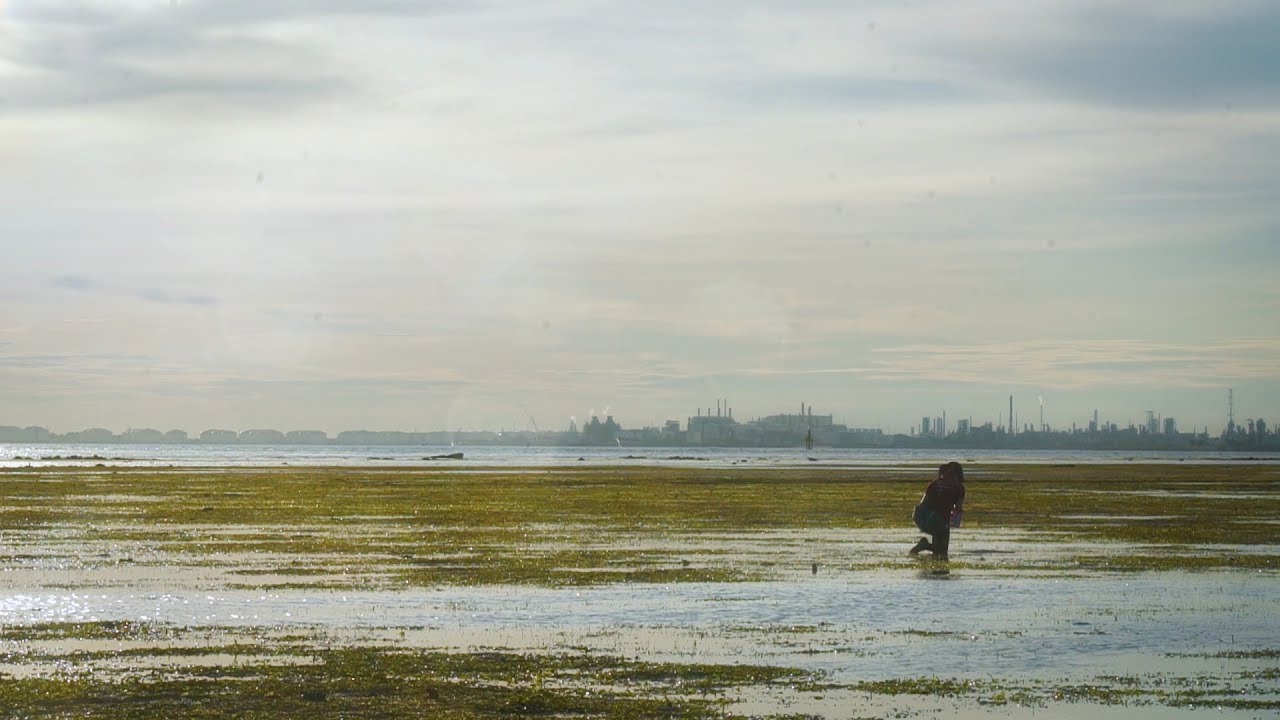 What Is Seagrass?!