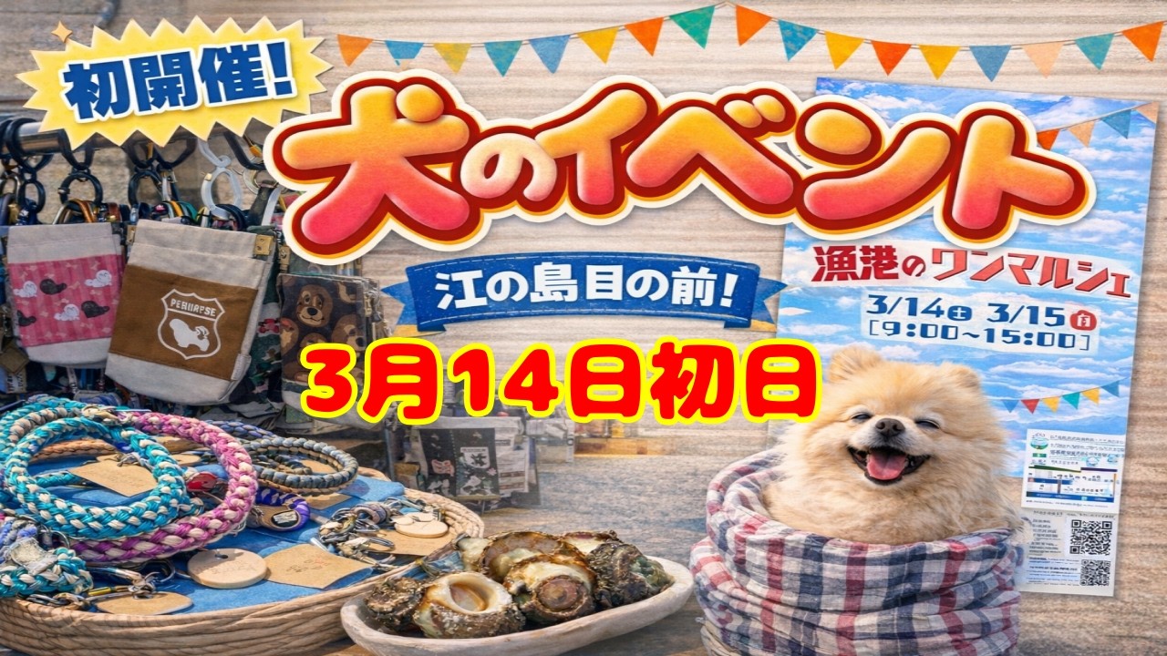 【犬イベント】【速報‼️】2026年最新！江ノ島で開催「漁港のワンマルシェ」に潜入してみた