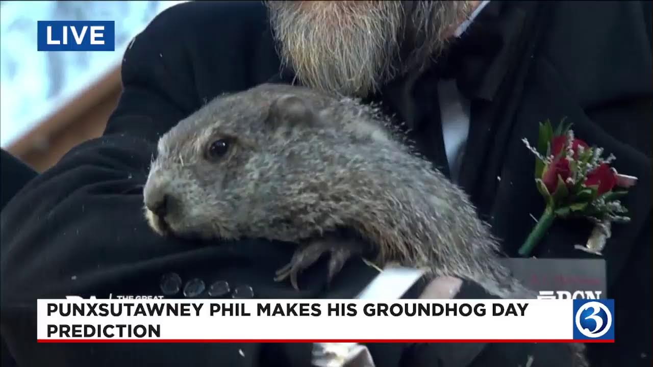 Punxsutawney Phil makes his Groundhog Day prediction