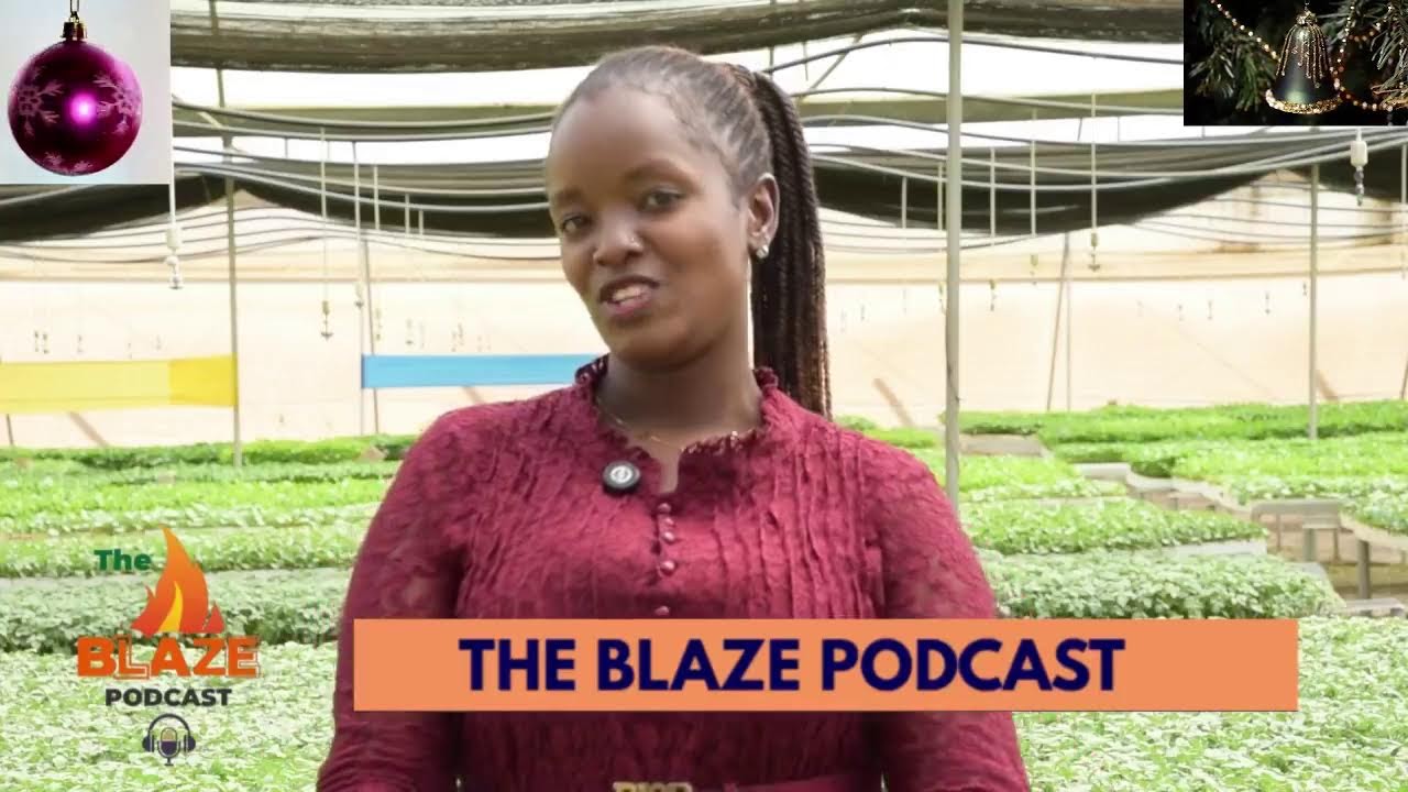 WELCOME TO THE BLAZE PODCAST |