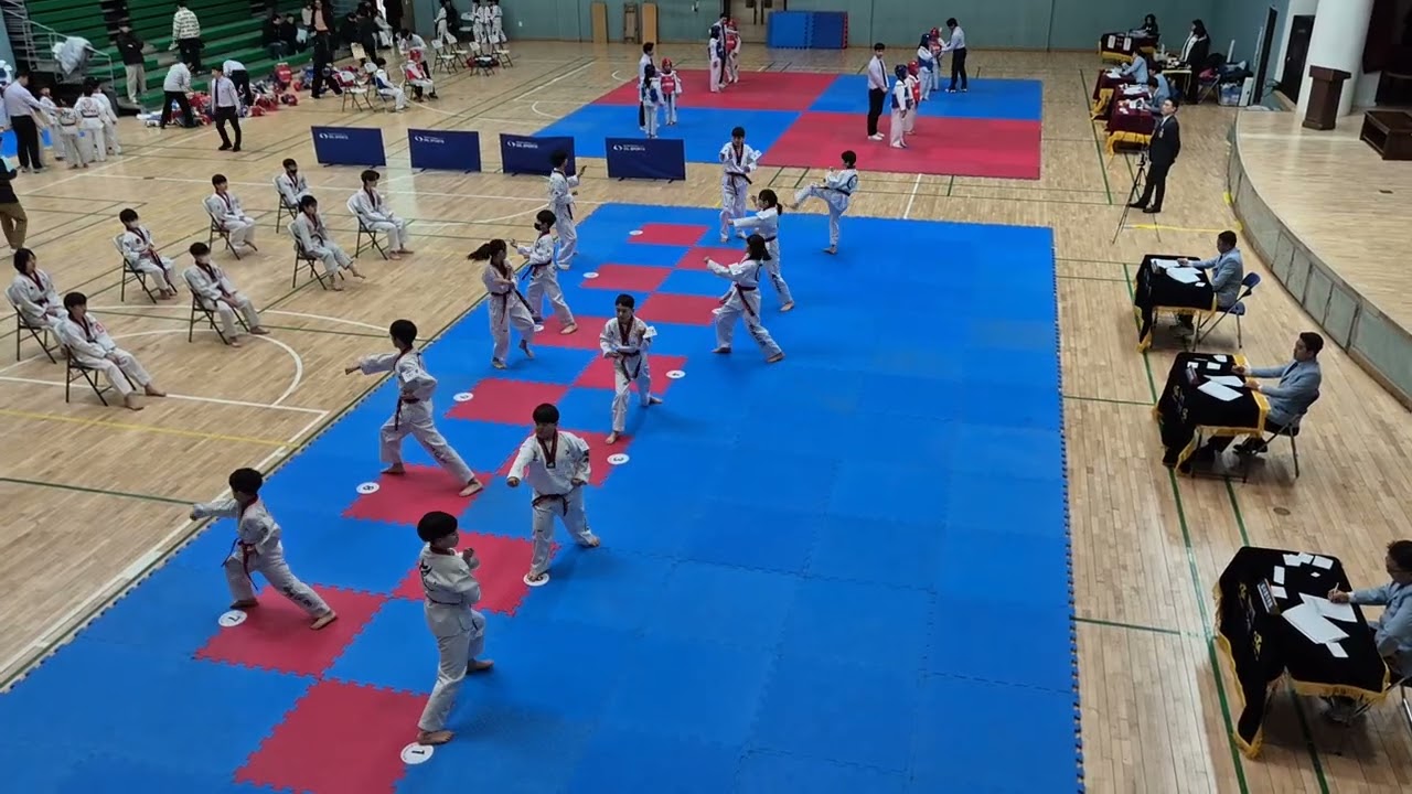26년 1월 국기원승품단심사 3품 품새/이동환