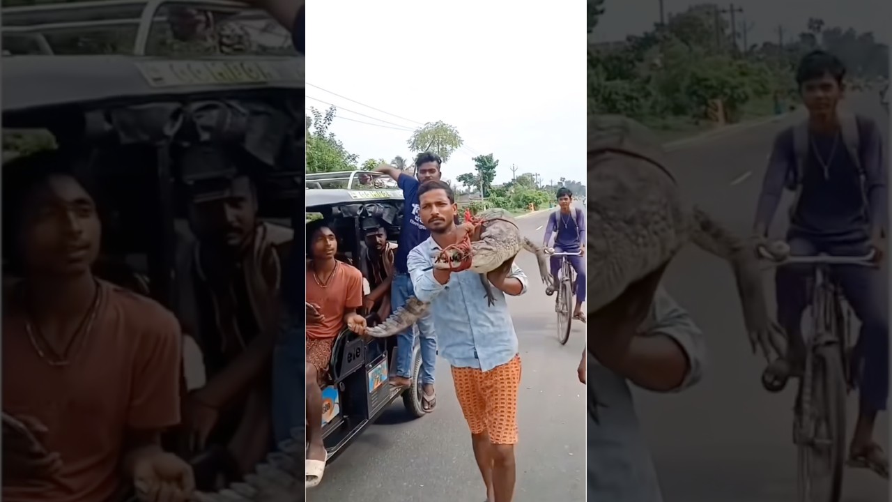 #bihar #supaul #crocodile #public #shorts #foryou #viral #explore #trending #youtubeshorts #news