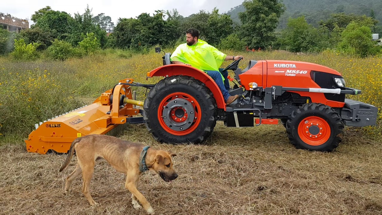 Kubota M8540 NARROW CON DESMENUZADORA BERTI TFB/Y200