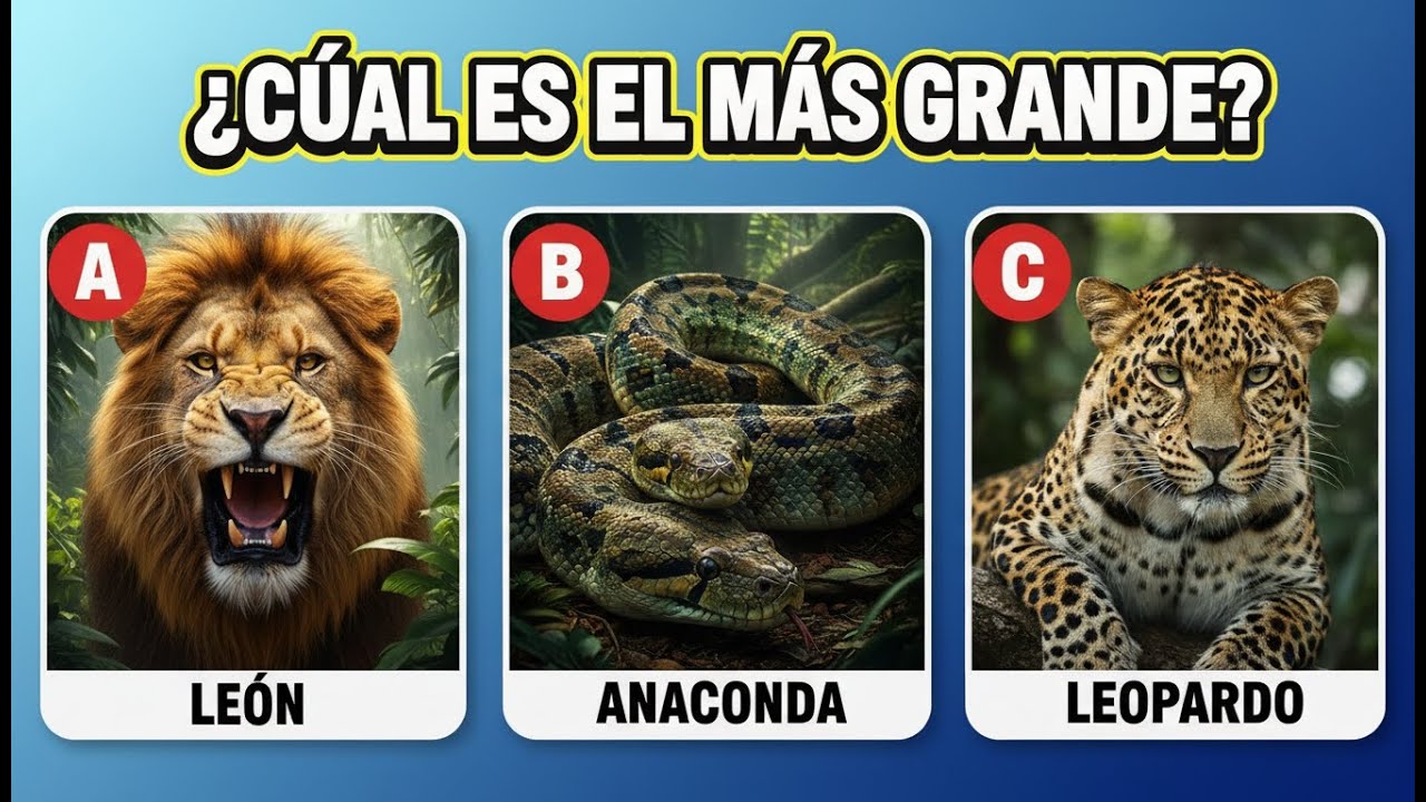 Quiz de Animales: ¿Cuánto Realmente Sabes?