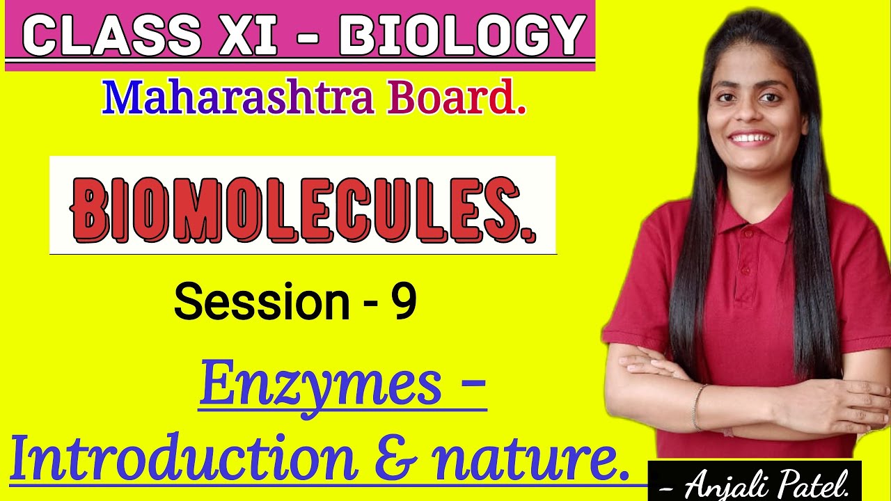 Class XI Biology - Biomolecules- Enzymes : Introduction and Nature.