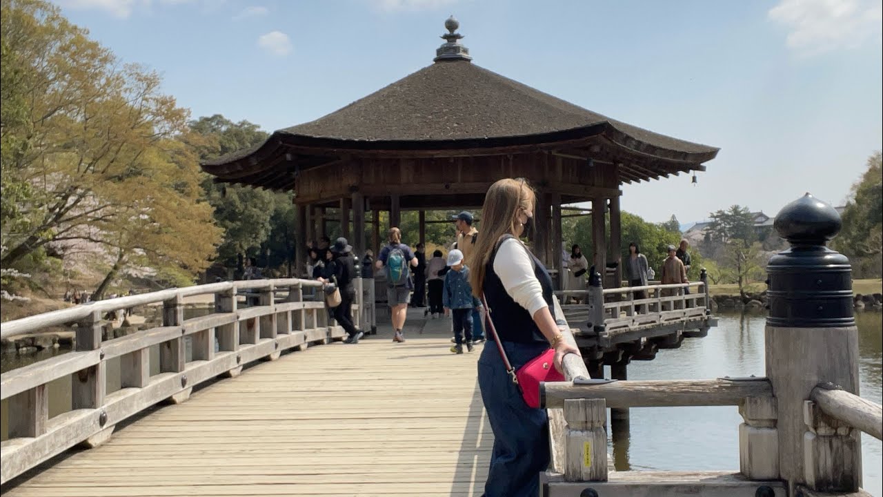 Spring 4.2025 Umikido Pavillion  Nara part 2