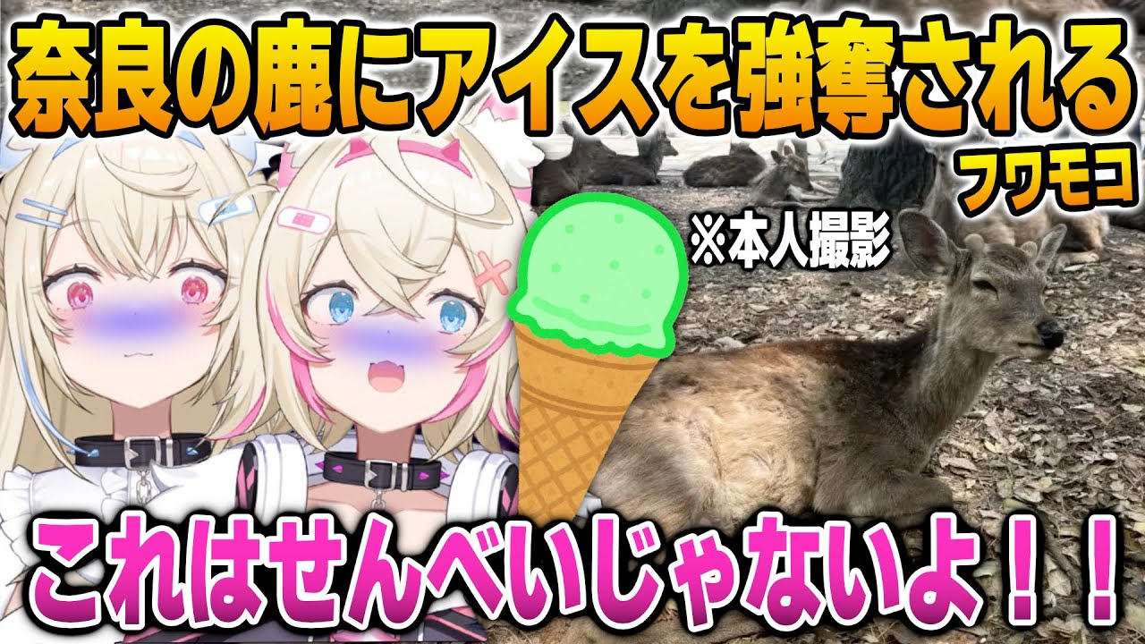 奈良の鹿に大好きなアイスクリームを強奪されて焦るフワモコ【英語解説】【日英両字幕】