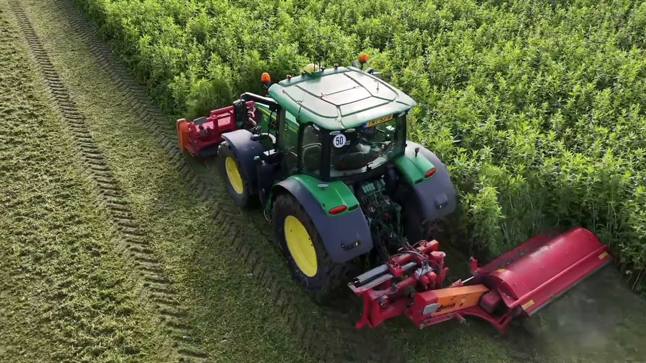 Mowing covercrop