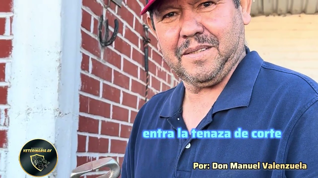 Herramientas de un Herrador, aprende con nosotros.