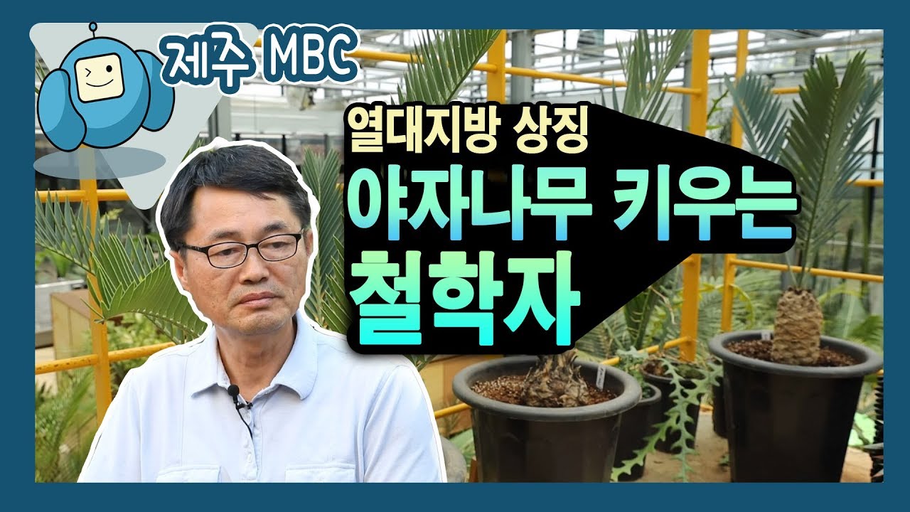[해피플러스] 야자나무 키우는 철학자