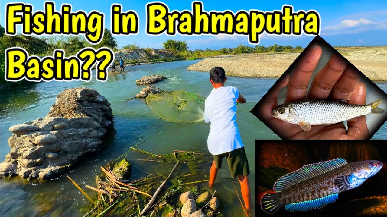 Fishing in Brahmaputra River basin?😳| Nijlaguri Picnic Spot Fishing🔥 | Exploring Assam and Fishing
