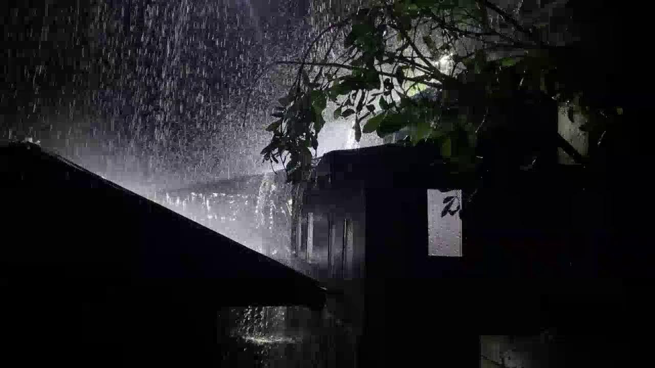 Calming Rain Sounds on Tin Roof for Stress Relief