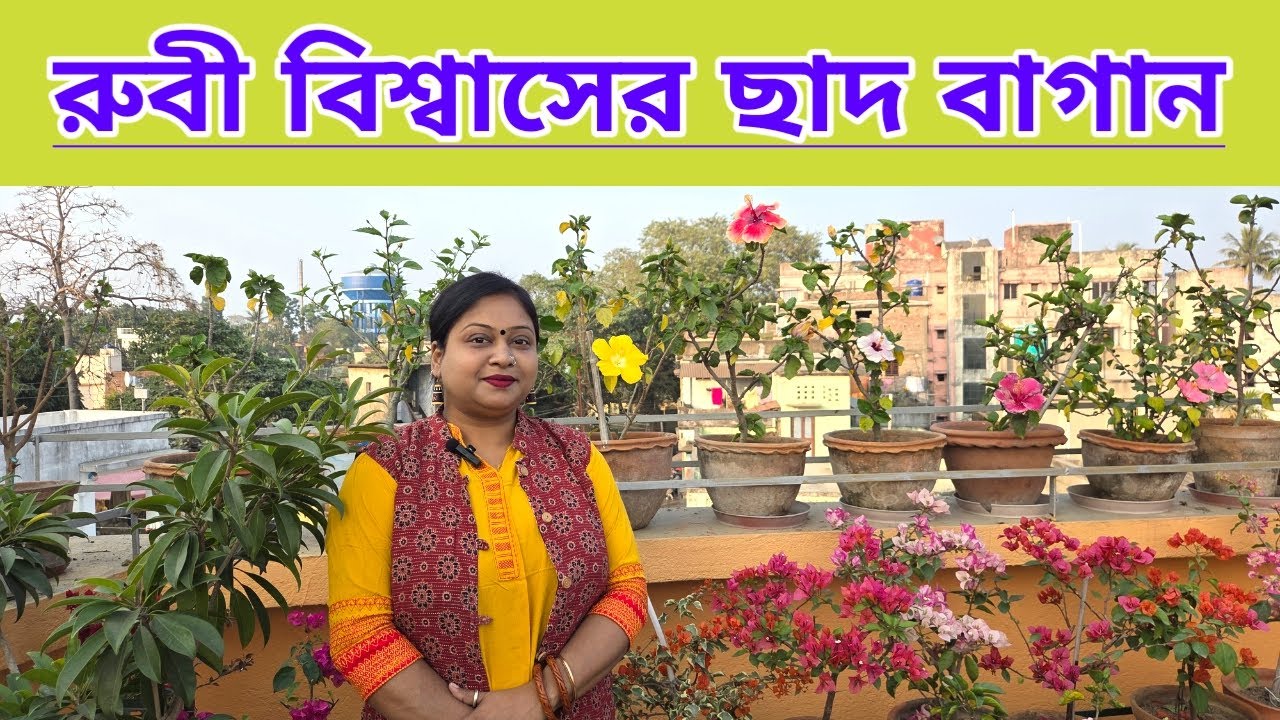 রুবী বিশ্বাসের ছাদ বাগান||Rooftop Garden Of Ruby Biswas||
