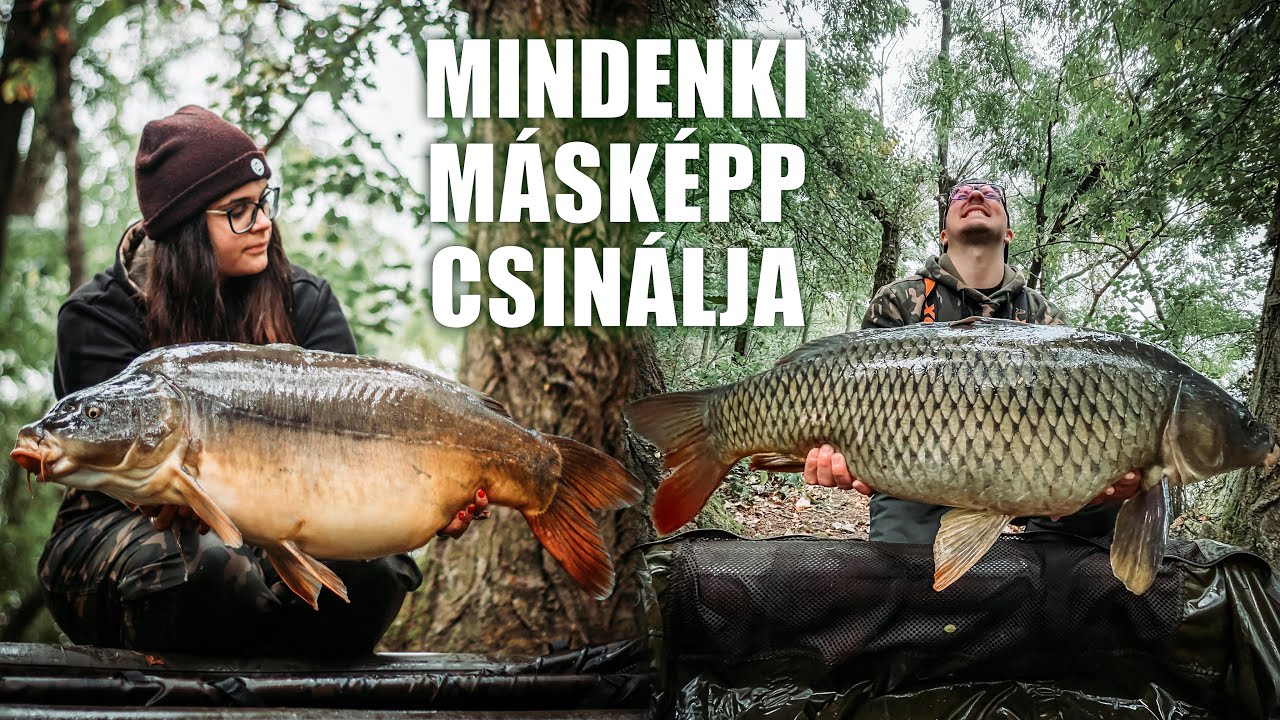 Mindenki másképp csinálja! - Behúzós horgászat a Szűcsi Völgy tavon (Pontyhorgászat)