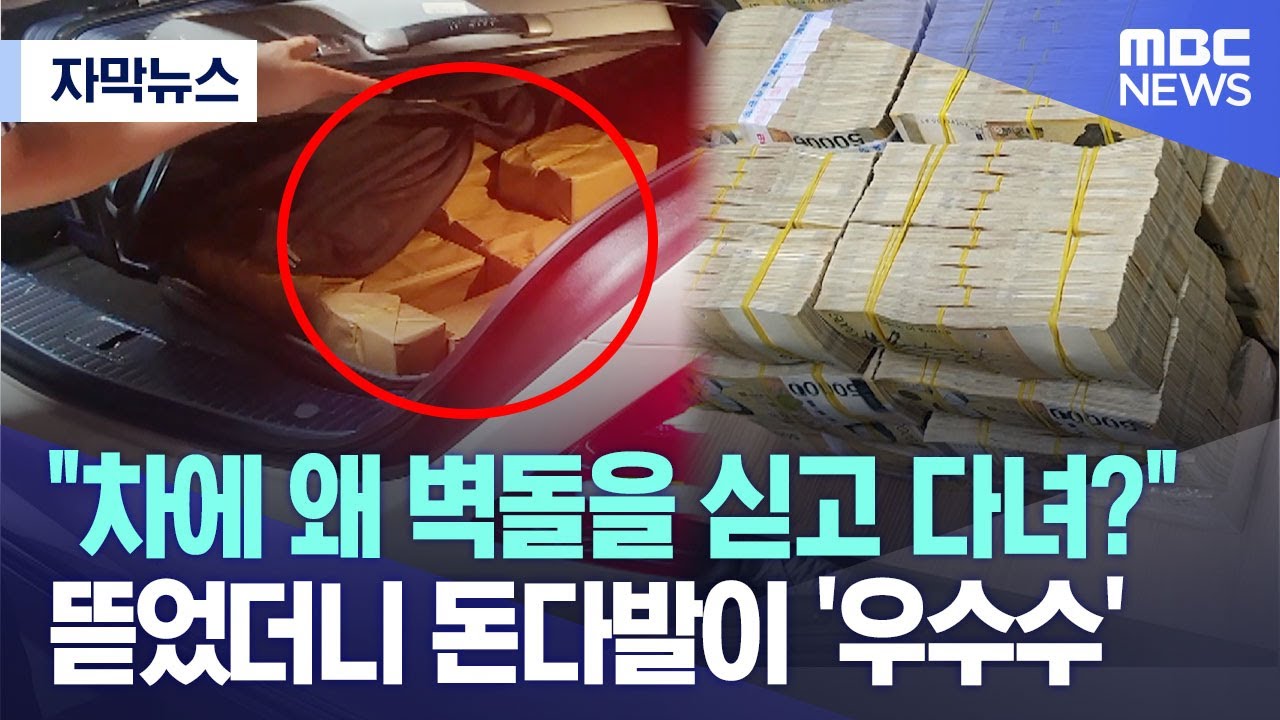 [자막뉴스] 