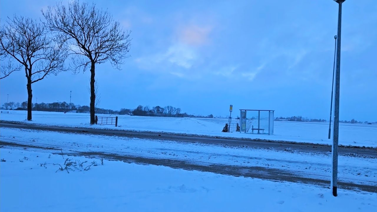 Sneeuw in Zuidwolde | 2026