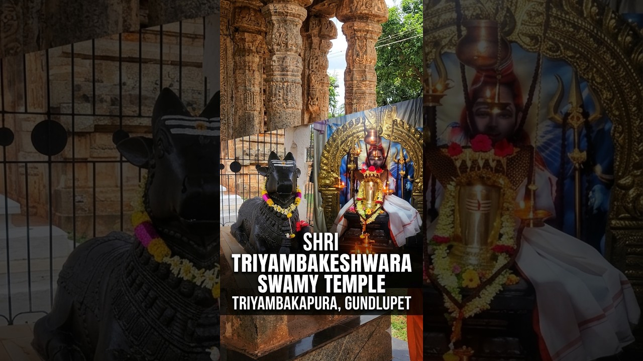 Hidden 13th Century Temple in Karnataka! 🏛️