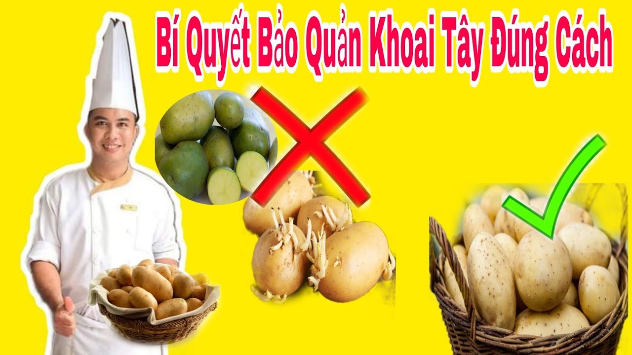 Mẹo Bảo Quản Khoai Tây đúng Cách Lâu Hư