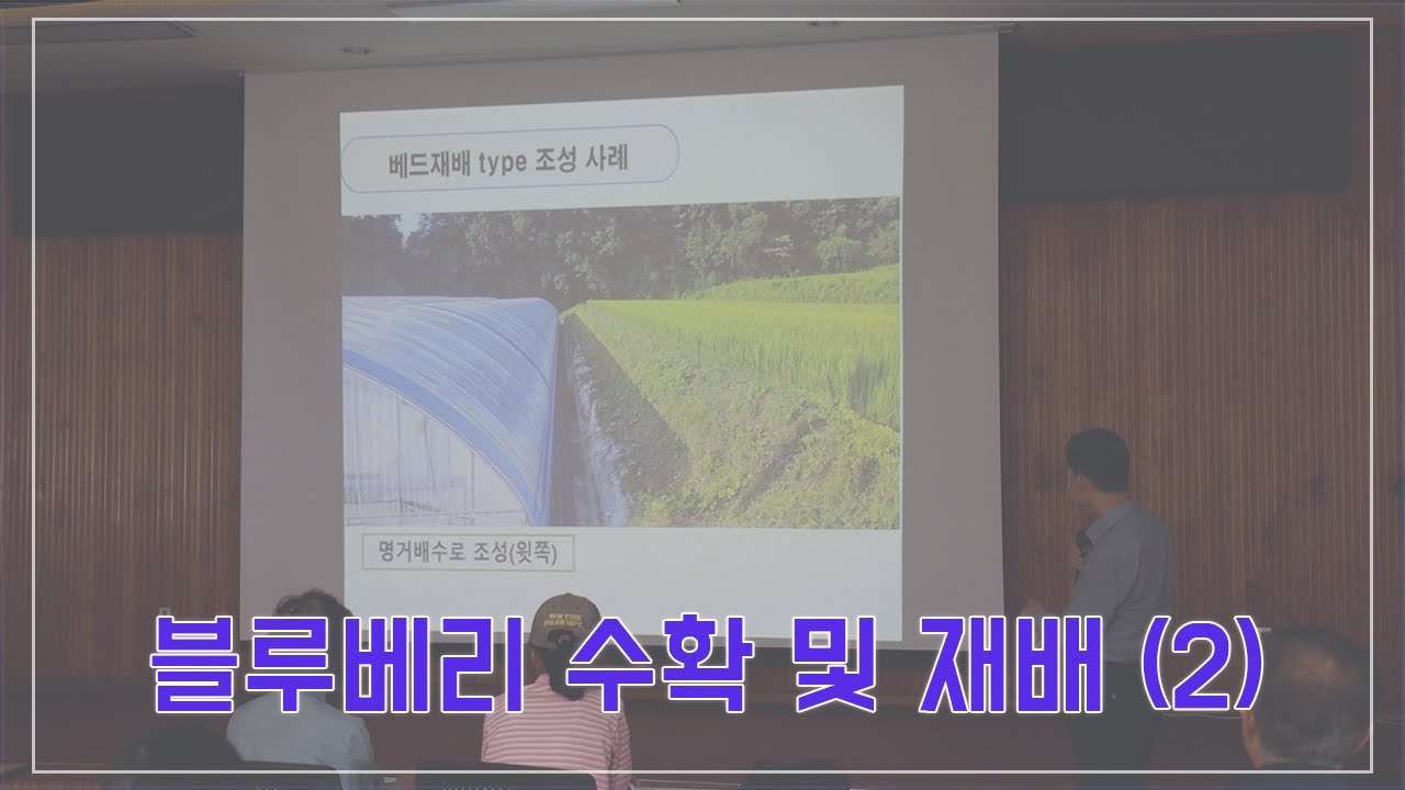 블루베리 재배방식과 조성 사례 ㅣ 블루베리 수확 및 재배 ㅣ 2025 영동군농업인대학