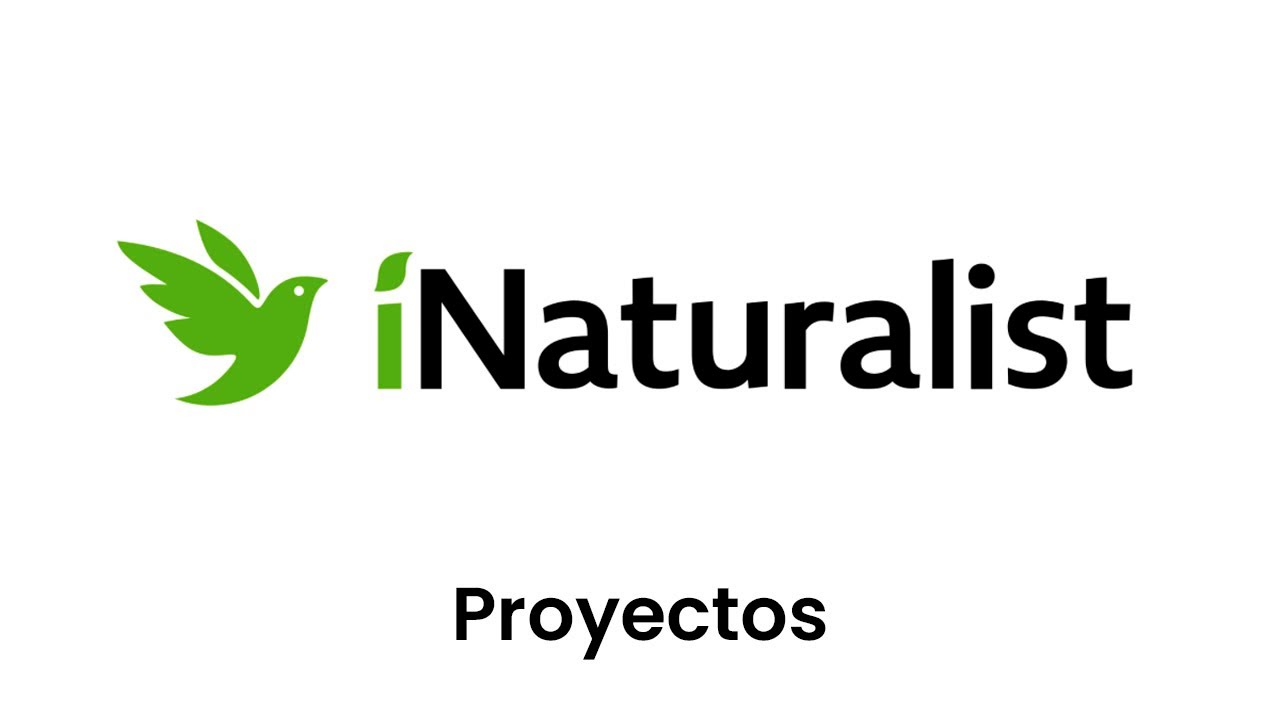 Proyectos en iNaturalist