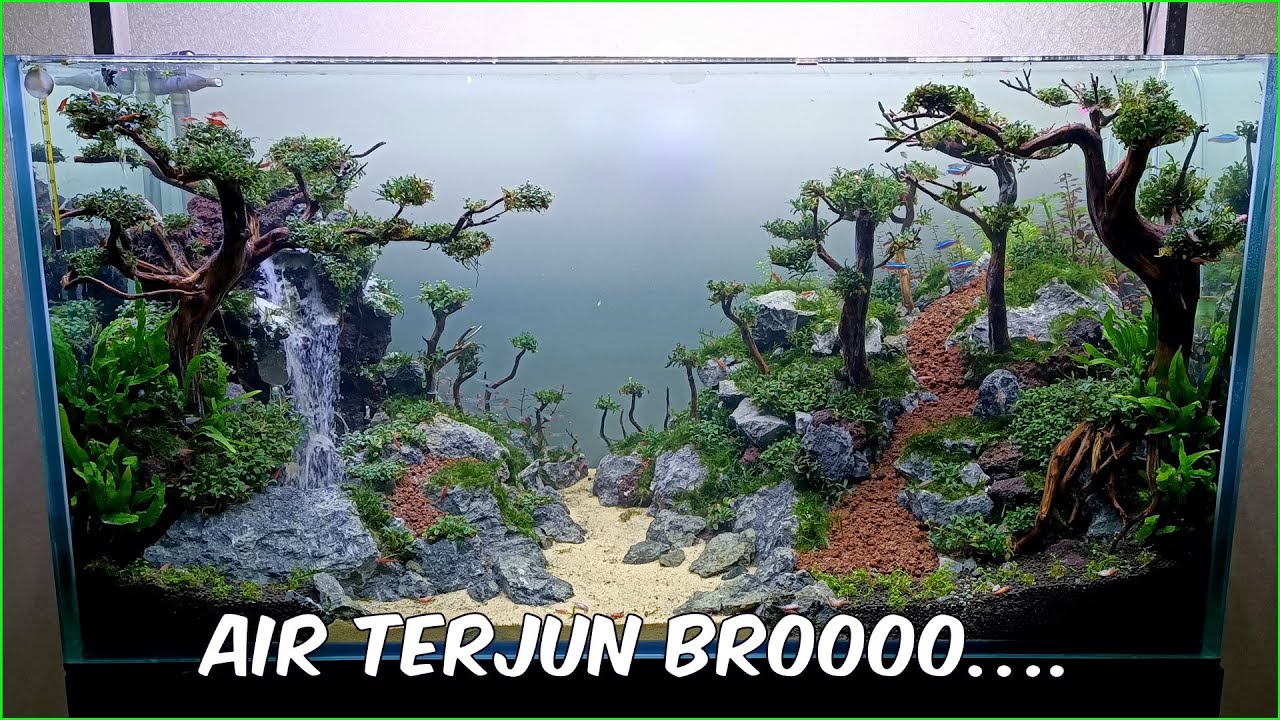 Project Tank 100cm Waterfall - RM Dapoer Makassar | Part 2 - Planting & Fauna